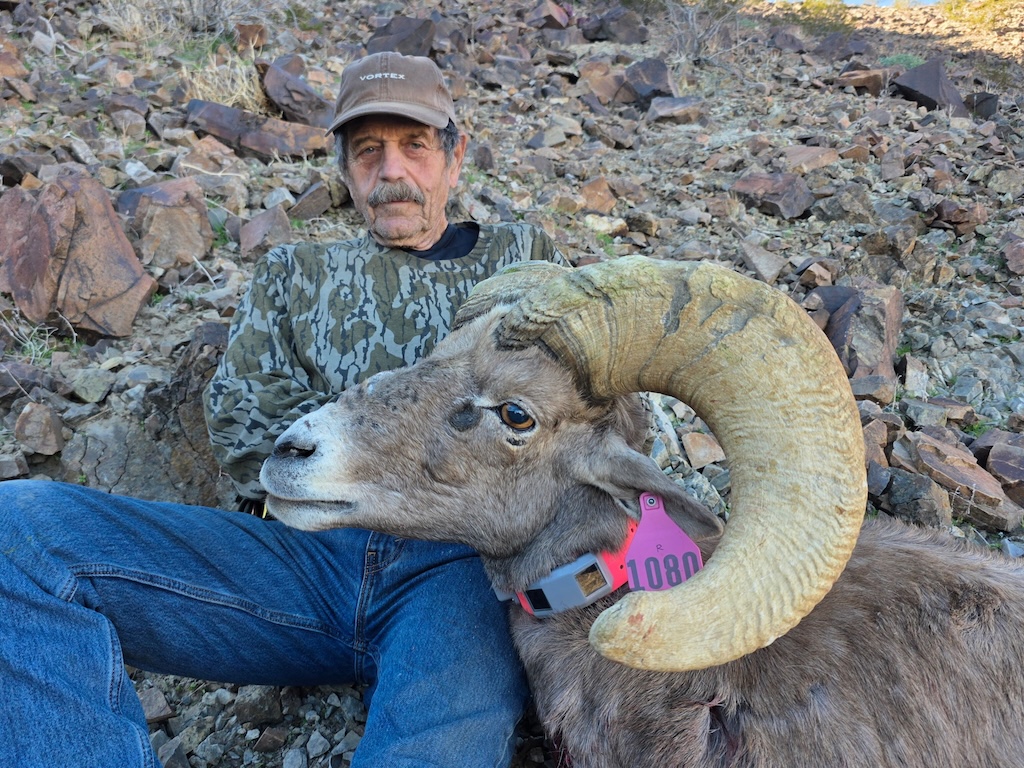 Alt Text is good for SEO